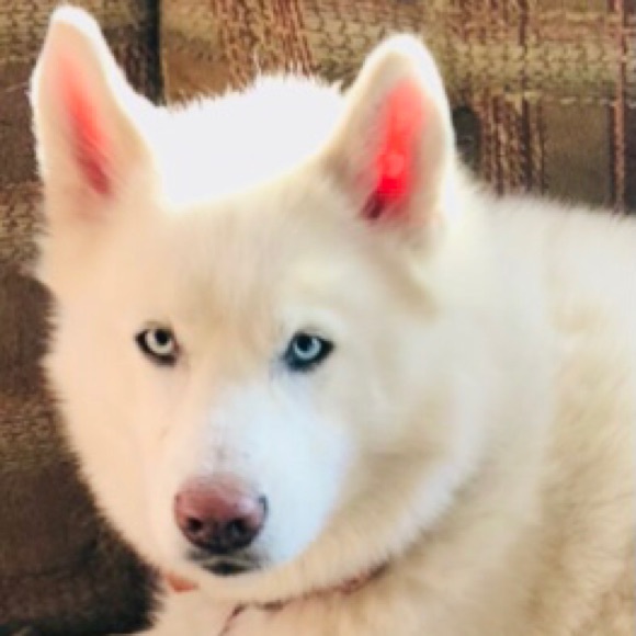 Meet your Posher, Karen - Picture 5 of 16